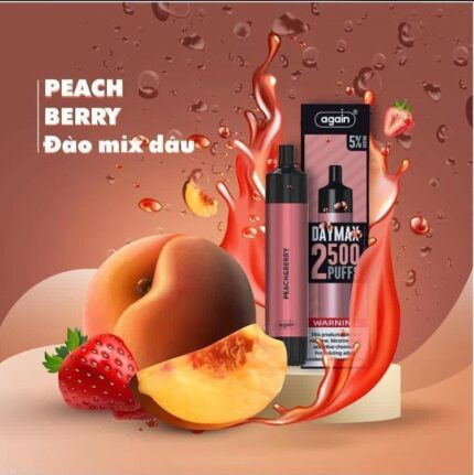 Again Daymax peach Berry Disposable Vape