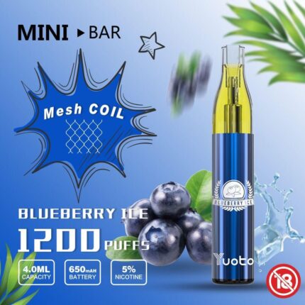 Yuoto mini bar blue berry ice disposable vape in Dubai