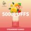 ELF BAR (5000 puffs) Strawberry Mango Disposable vape In Dubai