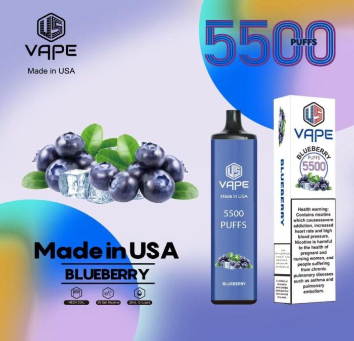 US VAPE Blueberry( 5500 puffs) In Dubai