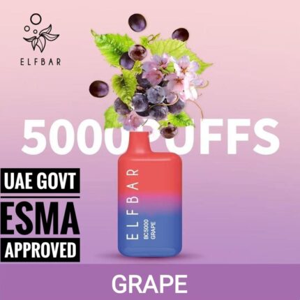 Easy to use Elfbar vape 5000 puffs disposable grape in dubai