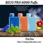 BECO Pro 6000 puffs disposable