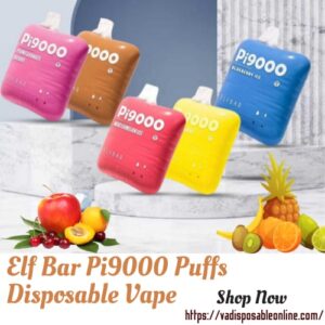 ElfBar Pi9000 Puffs Disposable