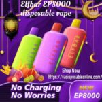 Elf Bar EP8000 Disposable