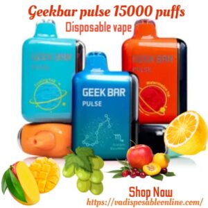 Geek Bar Pulse 15000 Puffs Disposable
