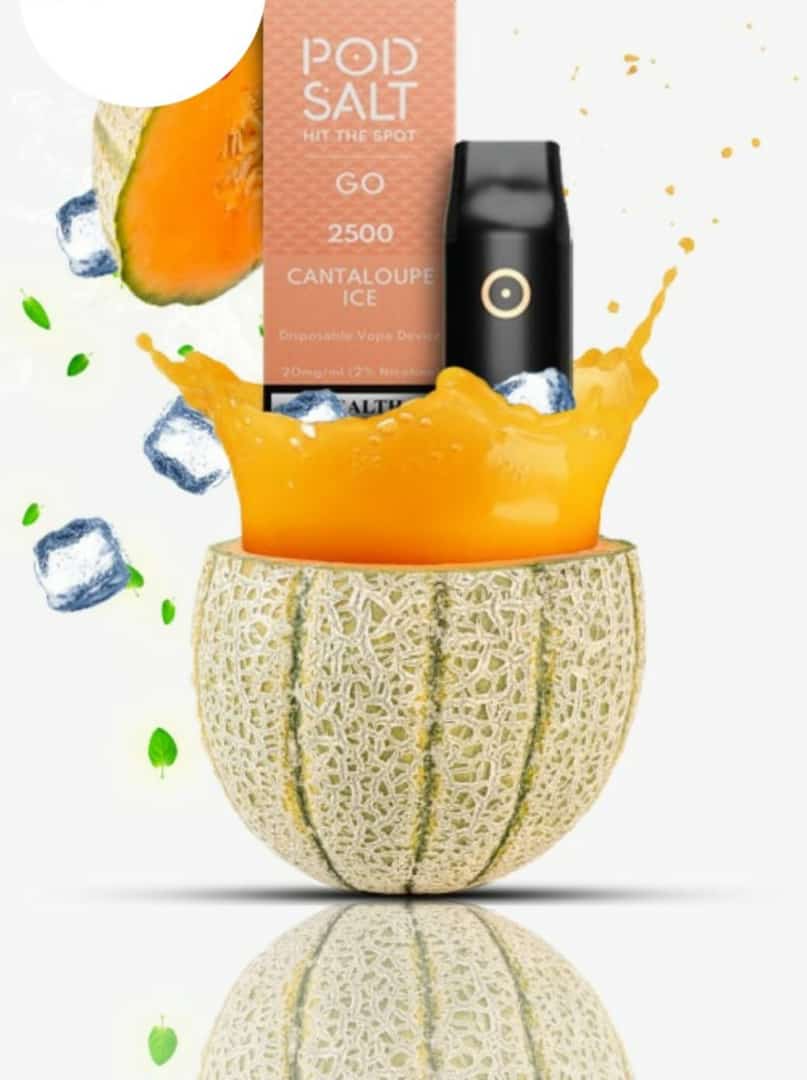 Pod-Salt-Go-Cantaloupe-Ice-2500-puffs-disposable-vape-in-Dubai-1.jpeg Pod Salt Go Cantaloupe Ice (2500 puffs) disposable vape in Dubai - Image 1