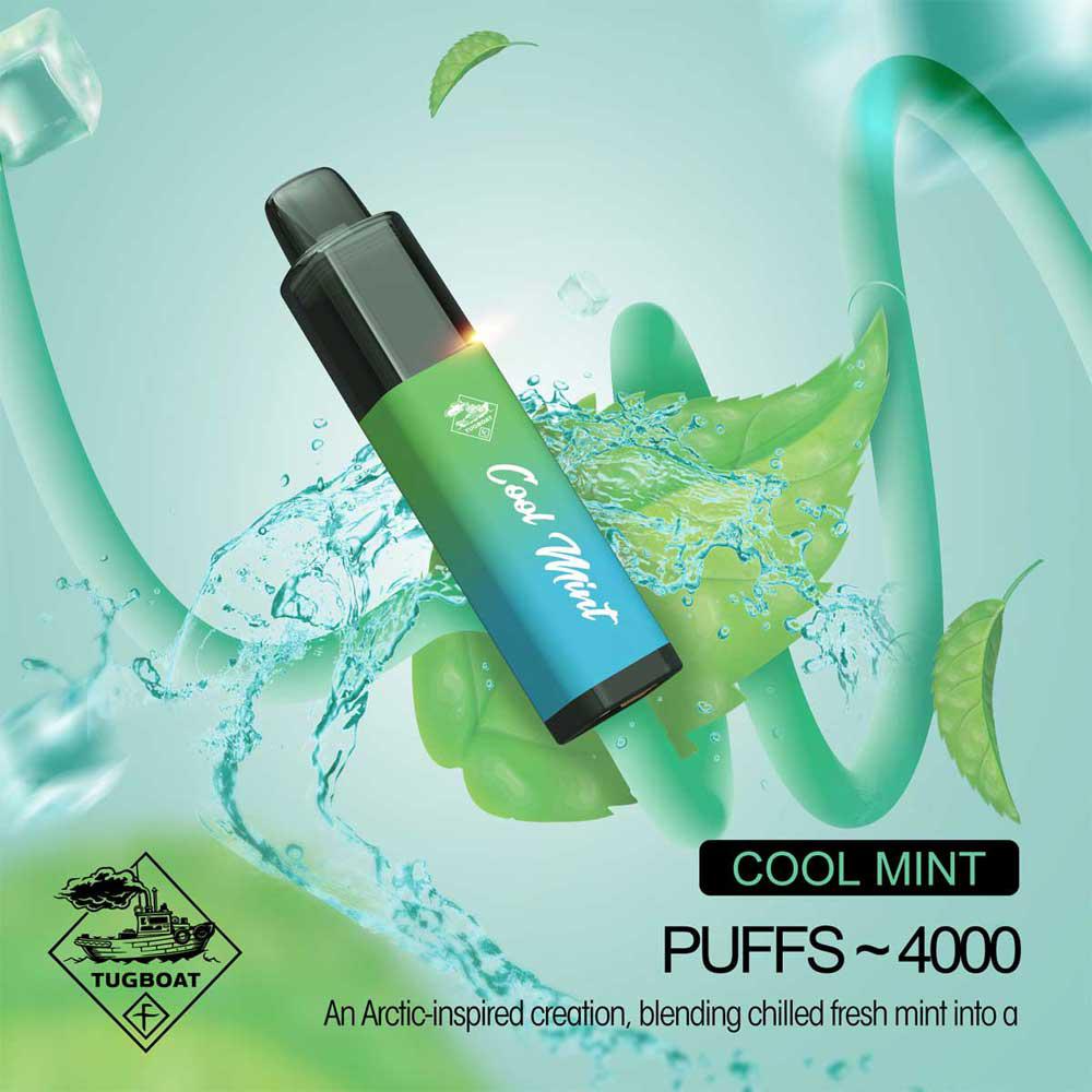 Tugboat-mega-flow-cool-mint-disposable-vape-in-Dubai-1.jpeg Tugboat mega flow cool mint disposable vape in Dubai - Image 1