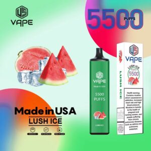 US VAPE Lush Ice (5500 puffs) 1pcs 35 AED