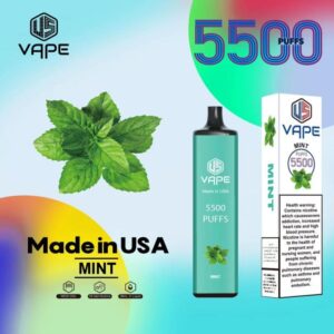US VAPE Mint (5500 puffs) In Dubai