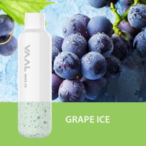 VAAL Grape Ice Disposable Vape In Dubai