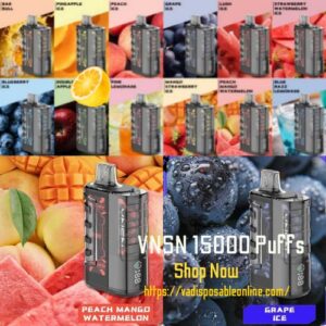VNSN 15000 Puffs Disposable kit