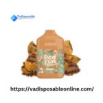 Vabar Pod Fun 10000 Puffs 50Mg Disposable Vape In Dubai, UAE - Image 5