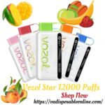 Vozol Star 12000 Puffs disposable kit