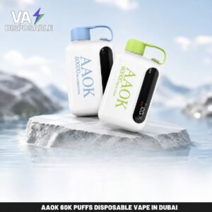 AAOK 60k Puffs Disposable Vape in Dubai